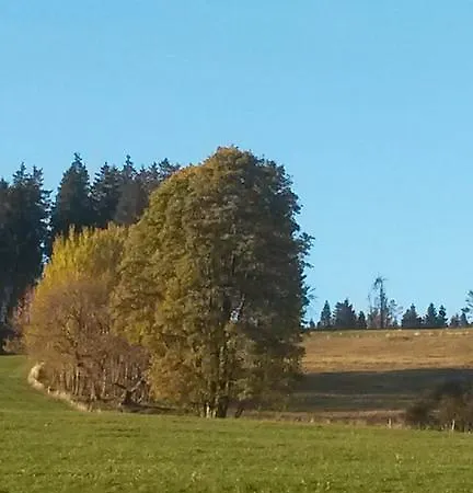 מלון Mein Vierjahreszeiten Garni Superior